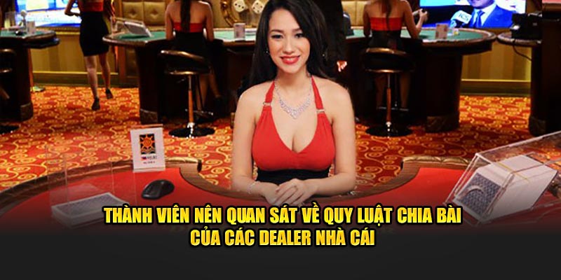 thanh vien nen quan sat ve quy luat chia bai cua cac dealer nha cai