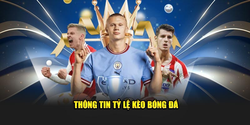 thong tin ty le keo bong da