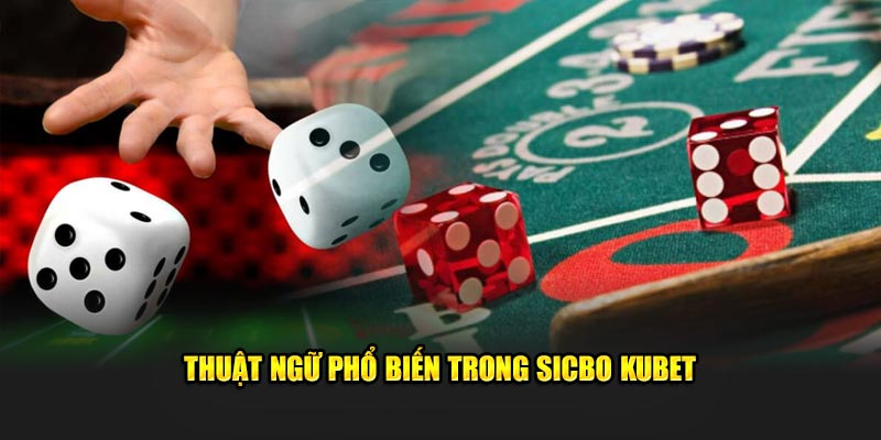 thuat ngu trong sicbo kubet 